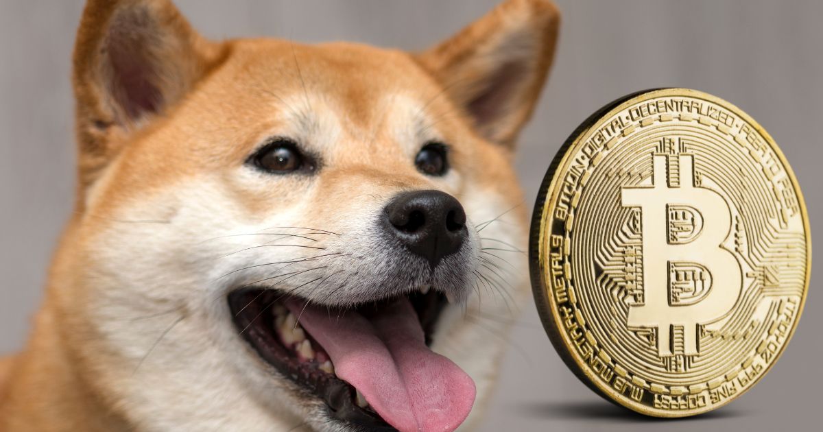 柴犬コイン(SHIB):暗号資産(仮想通貨)界の新たな注目株